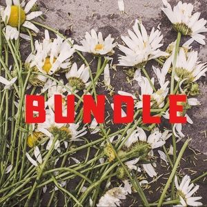 Bundle and save... I’ll send you an offer.